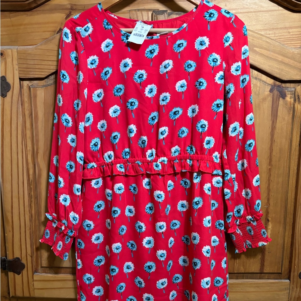 J. Crew Factory Dress